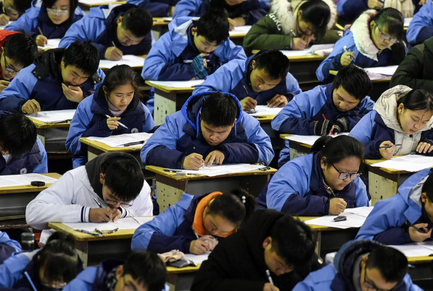 学习和终身生长的基础真实重要的