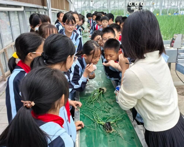 联成构建家校社企医教联体为孩子健康快乐生长赋能增值 联成构建家校社企医教联体为孩子健康快乐生长赋能增值